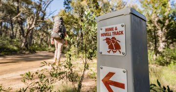 Travelling in Hume and Hovell's footsteps ... 100 years on and a little more comfortably