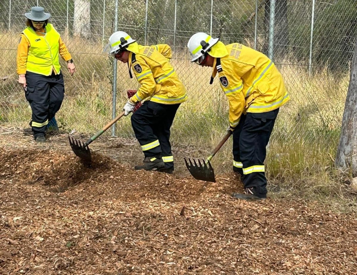 Young firefighters raking mulch under supervision.