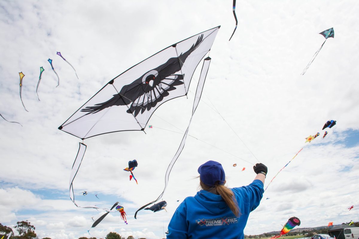 People flying kites 