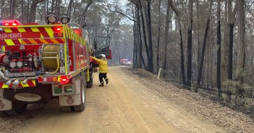 Spring's bushfire risk rated 'normal' but preparation remains crucial, says national council