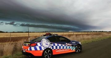 Alleged police chase near Batemans Bay ends in crash before driver tries to run