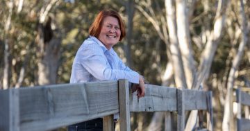 Liberals choose Cooma lawyer to take on Kristy McBain at next fight for Eden-Monaro