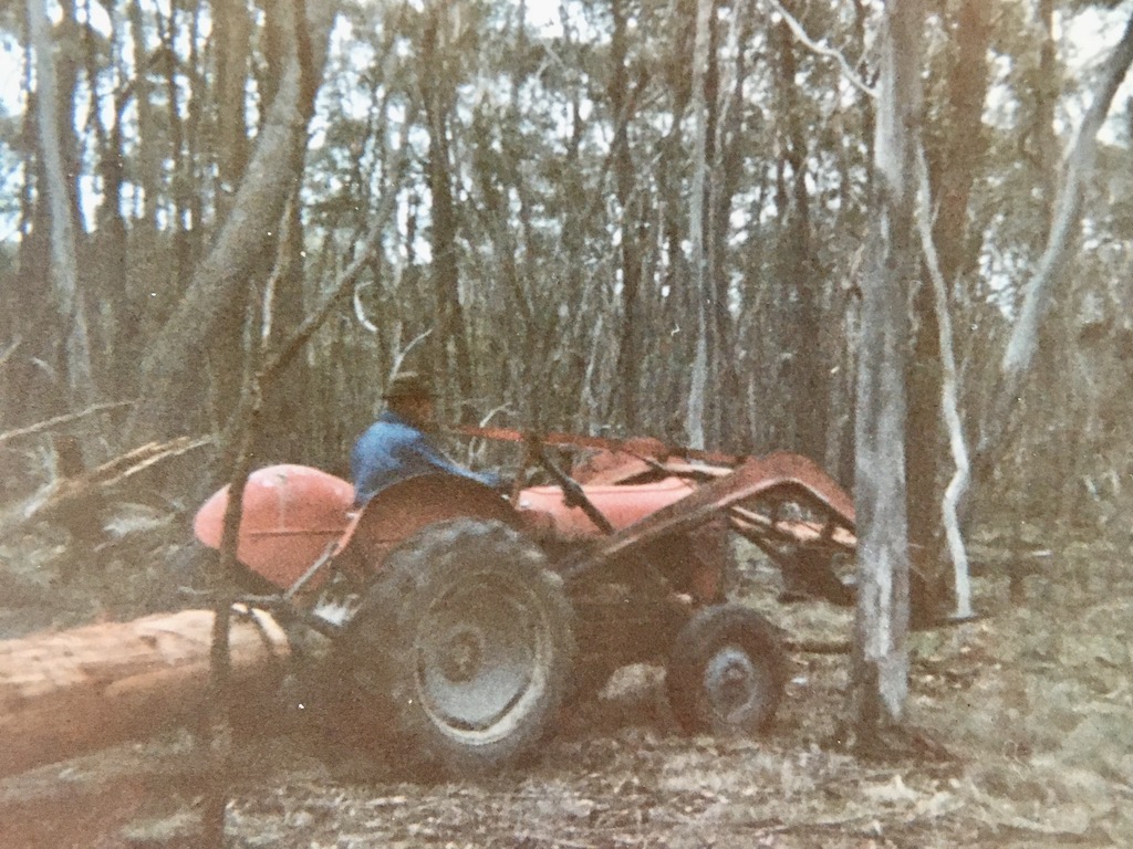 man on tractor hauling a cut tree