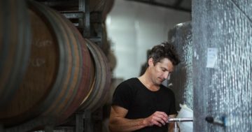 Hamish's award-winning wines a nod to depth of quality of greater Capital Region vineyards