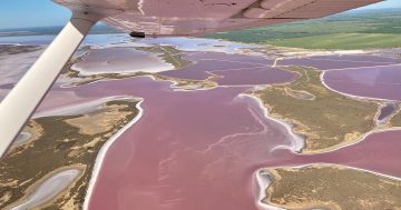 Get a bird's eye perspective of the Riverina with pilot Peter