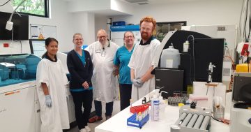 Cooma Hospital gets new pathology lab as part of upgrade