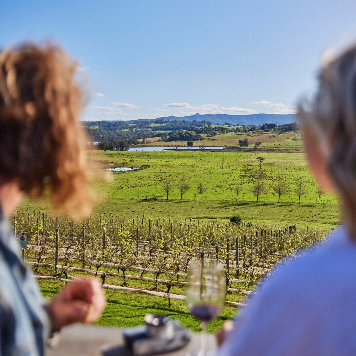 Two people looking over a vineyard