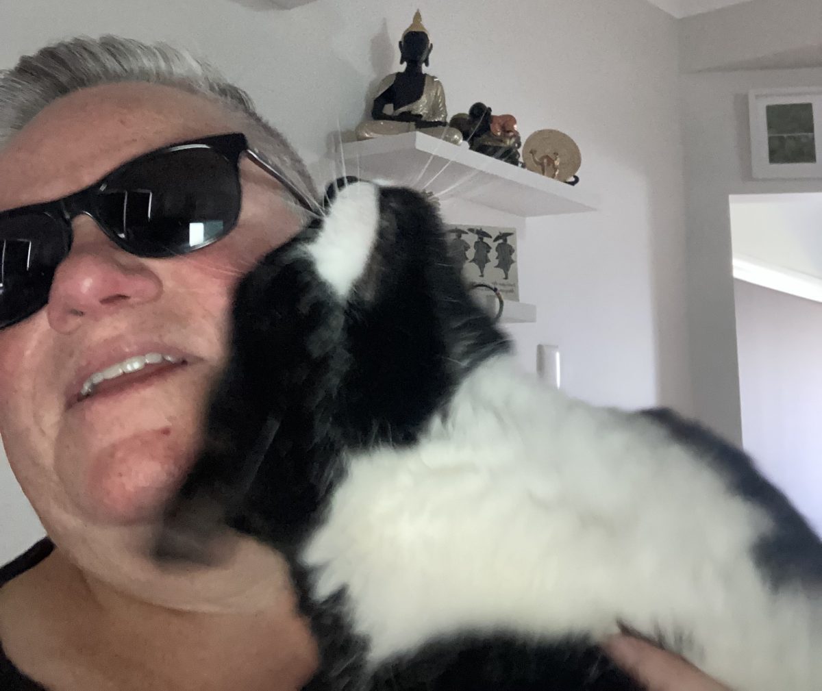 Cat snuggling up to woman in sunglasses