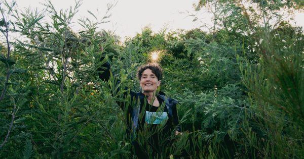 Microforest madness: How one woman's little idea has grown across the country