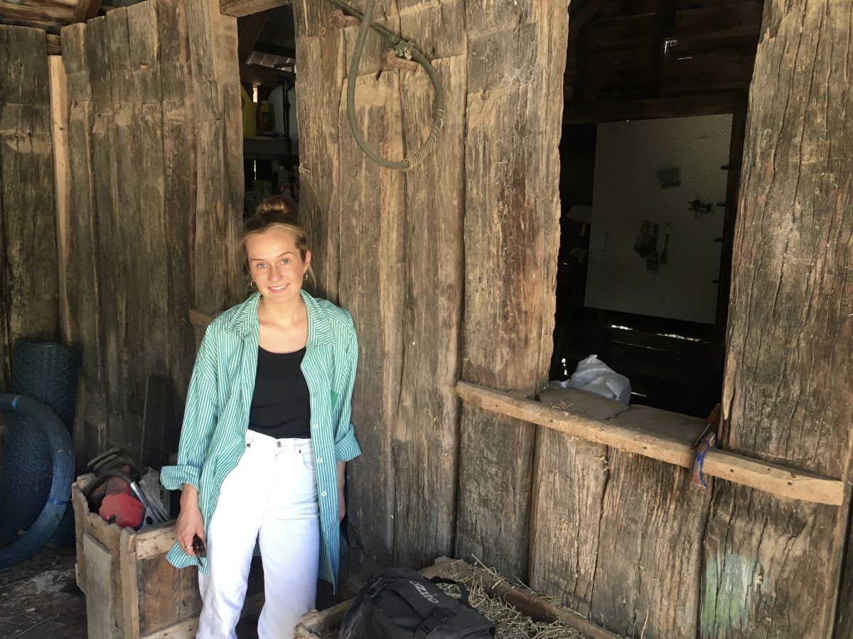 woman in stables