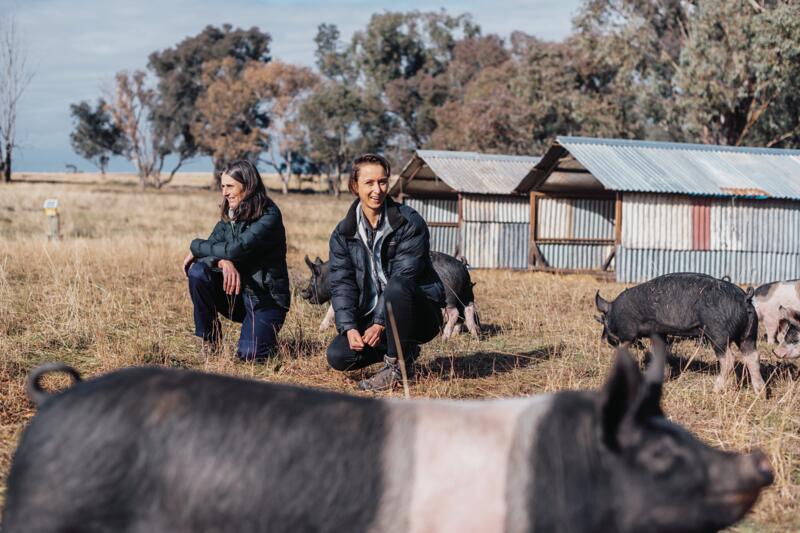 Mother and daugher posing amid free range pigs