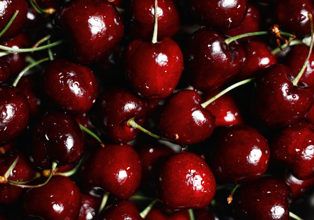 A close-up of masses of cherries