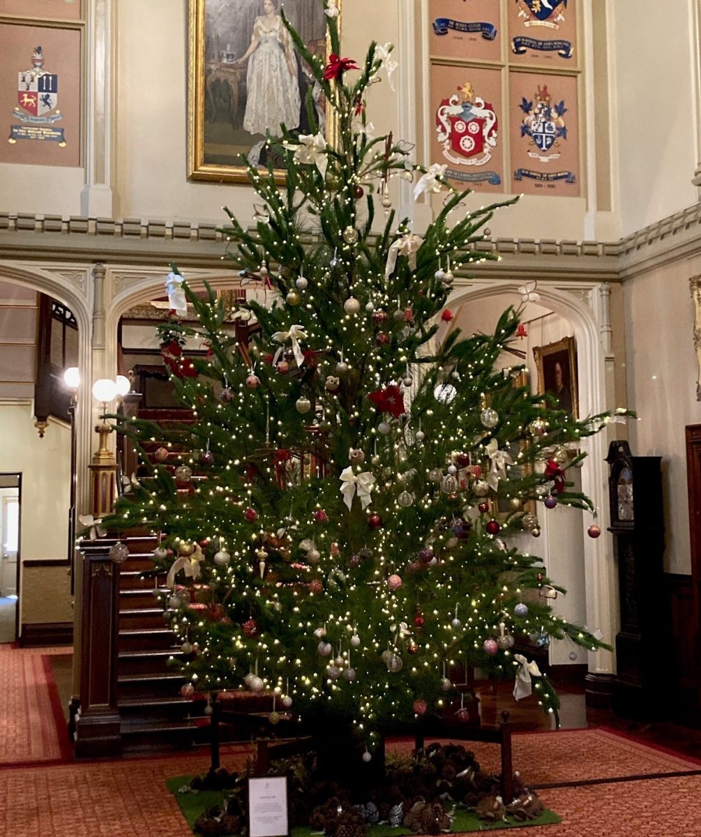 Christmas tree in building foyer