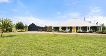 Amid rolling hills, this idyllic Bungendore home is the perfect country escape