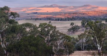 Farmers, landholders converge on Canberra to protest 'reckless renewables'