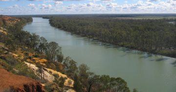 Call for probe into Murray Irrigation after explosive water mismanagement claims by international media