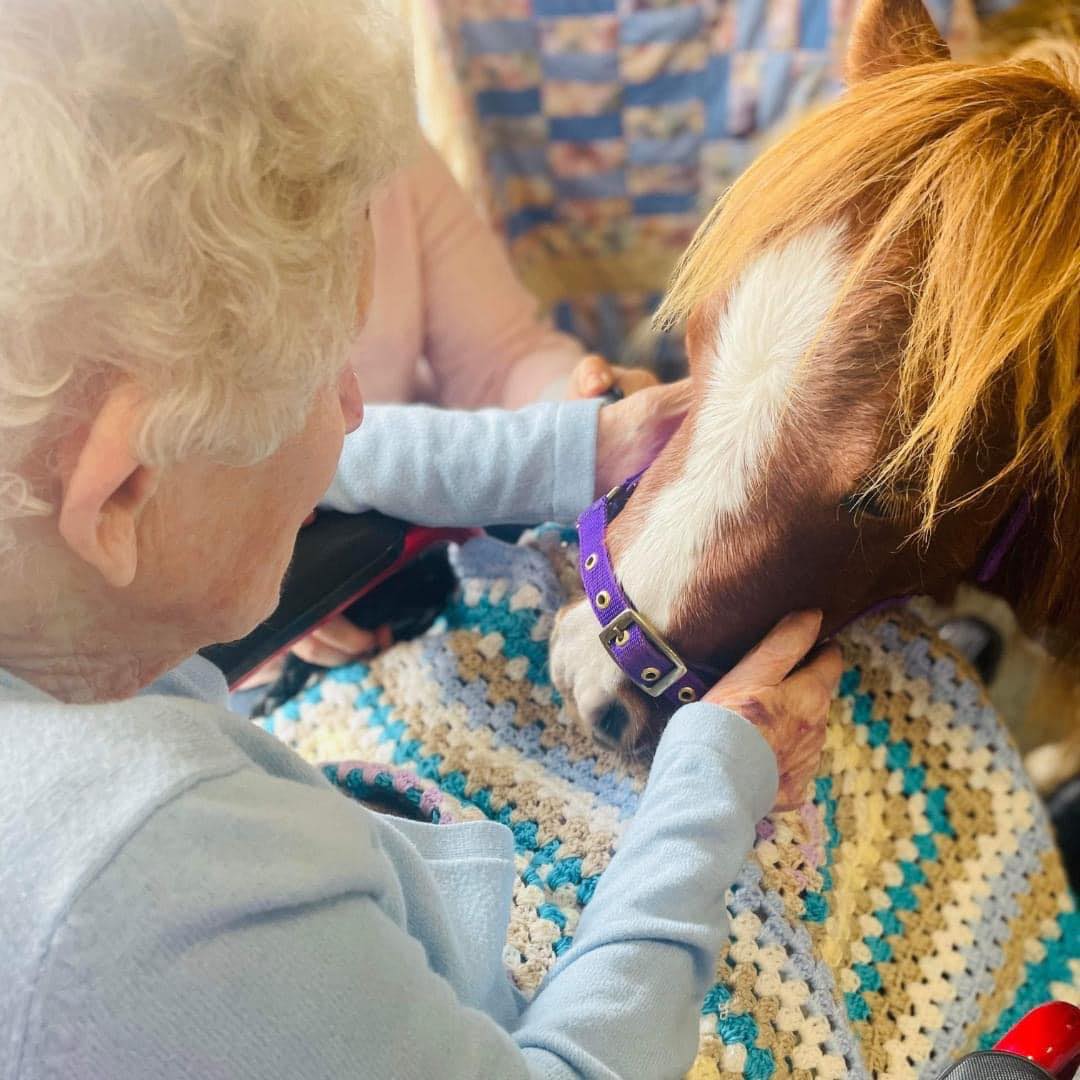 Woman cuddling pony