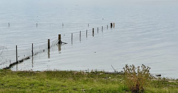 Lake George hasn't been this full for this long since the 1960s - why is that?