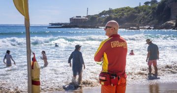 Tathra community shells out to keep beachgoers safe