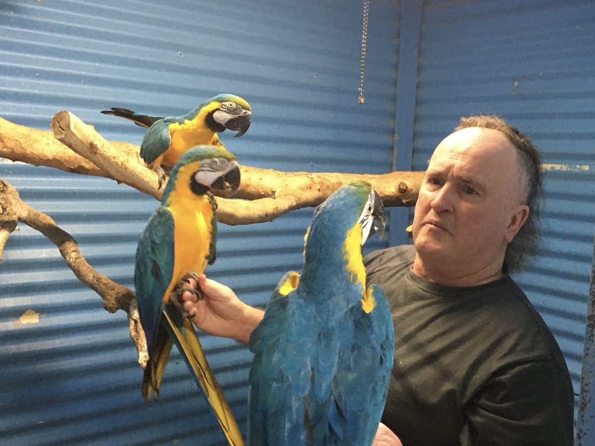 Macaw enthusiast John Stephenson.