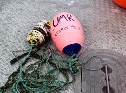 fishing line and floats