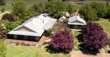 Historic Wallaroo property with magnificent views and space to dream