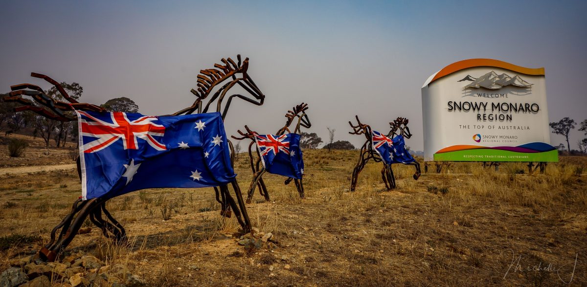 horse statues covered in the Australian flag