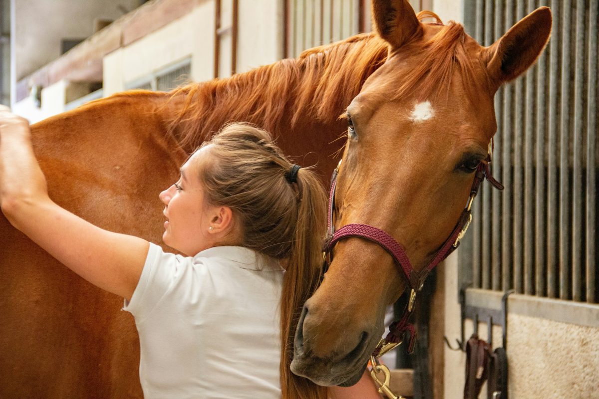 A woman hugging a brown horse