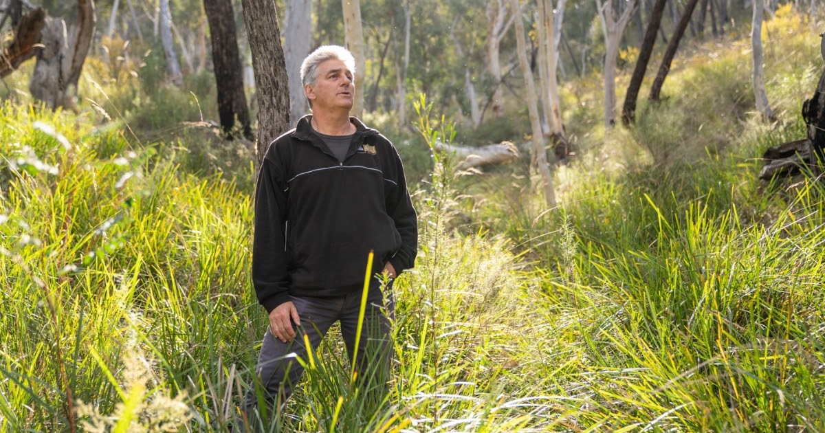 man standing in forest