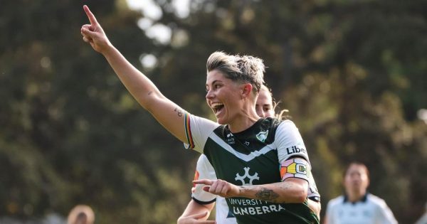 Plenty of balls in the air for Canberra sport amid campaigns for A-League, NBL, Big Bash, and a new stadium