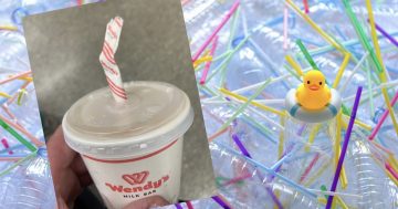 There must be a better option for thick shakes because paper straws suck!