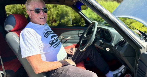 'We're all getting bloody old': Canberra's car clubs enact survival plan for 43rd Wheels car show