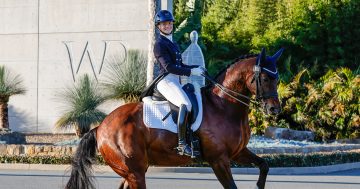 Olympic hopefuls hot to trot at Willinga Park's Dressage by the Sea
