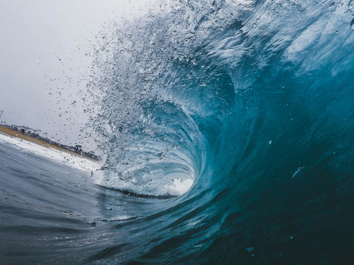 A side view of a wave