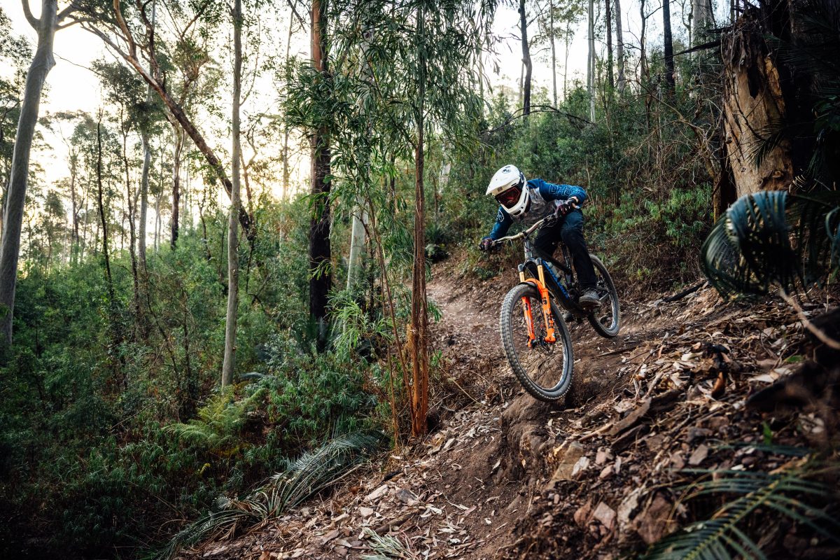 mountain biker