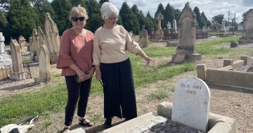 Friends investigate two babies who went to early graves
