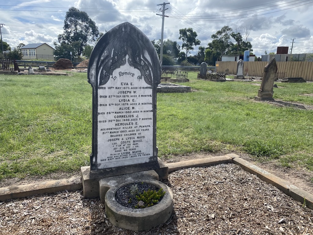 The Mayo family grave