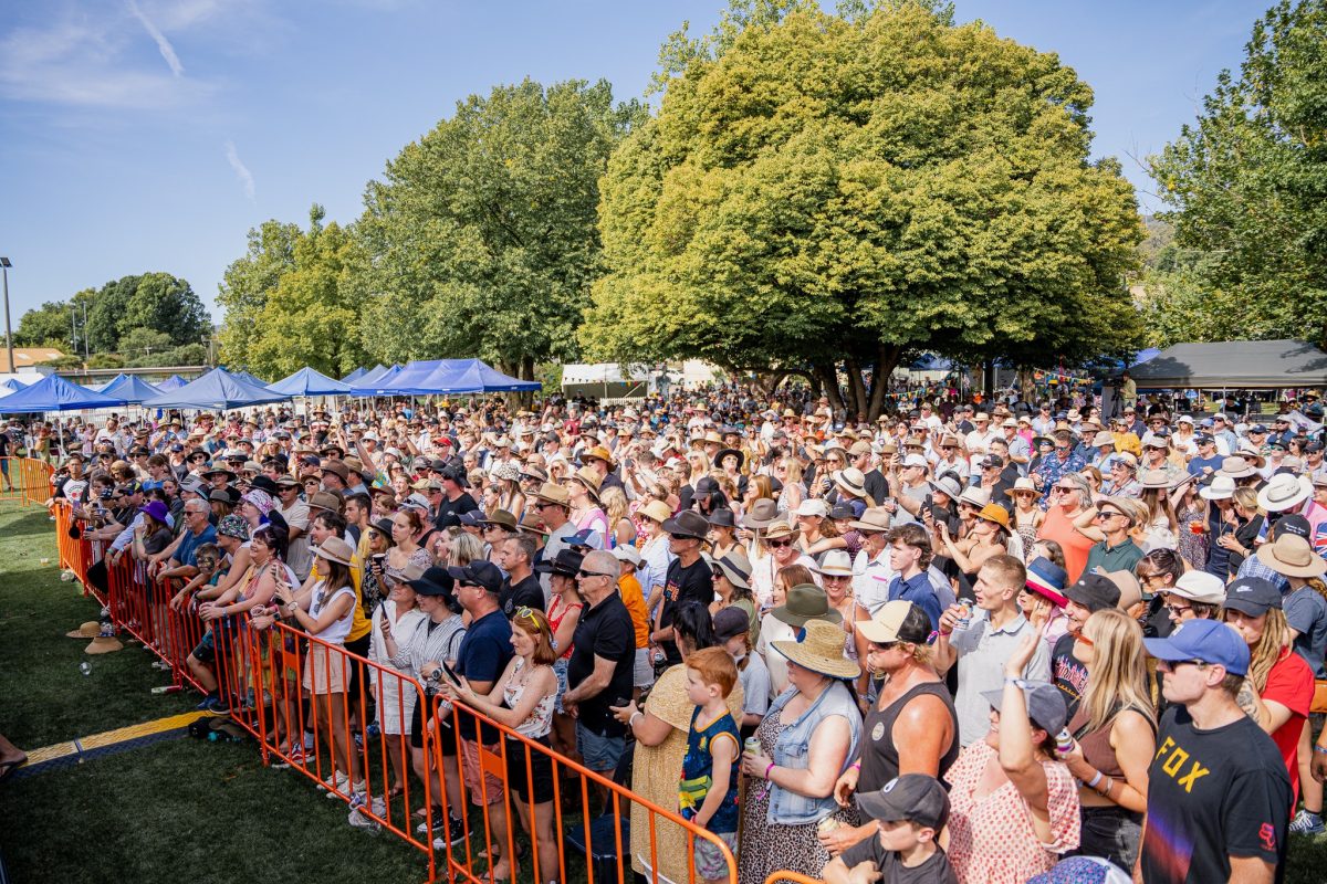 festival crowd