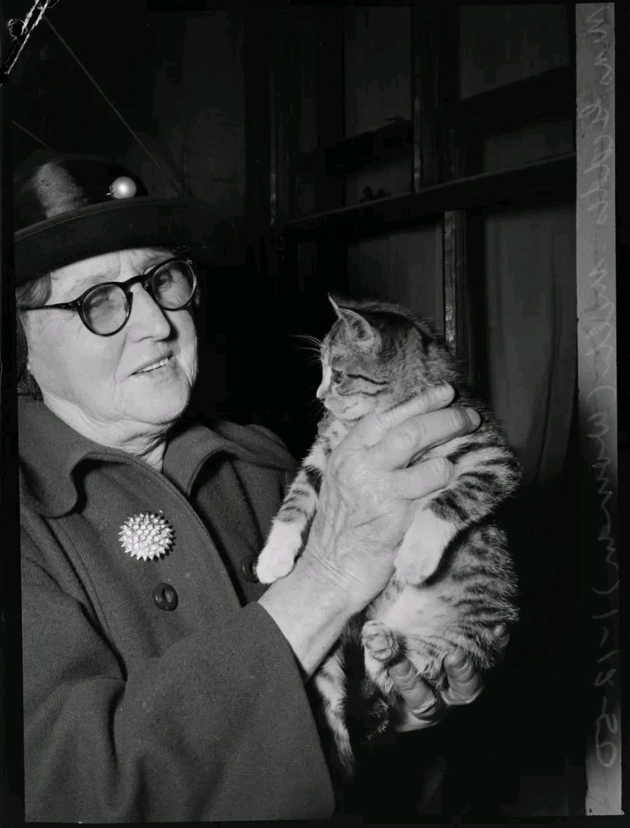 Francis Geddes holds one of her much-loved cats in December 1950. 