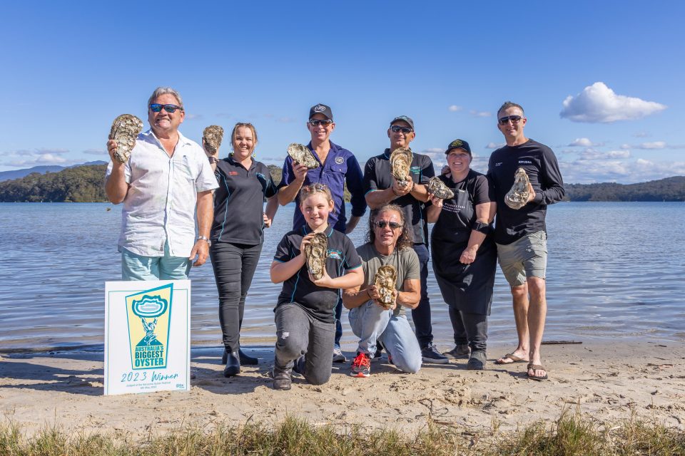 Narooma Oyster Festival a shellabration of more than a mollusc About