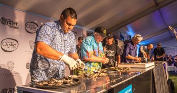 Narooma Oyster Festival: a shellabration of more than a mollusc