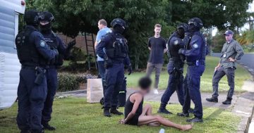 Major Batemans Bay police operation nets 34 arrests, drugs, cash and weapons