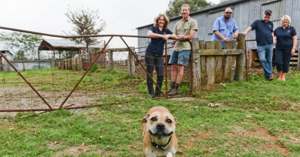 At 74, Murrumbateman vintner revs up for a new career in a faster lane