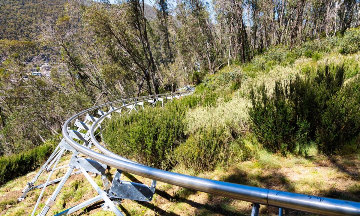 Apline Coaster ride at Thredbo