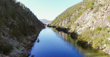 'Largely forgotten' Upper Murrumbidgee River left in 'perilous state', governments called on to act