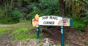 Pooh Bear's Corner tradition bridges gap between home and holiday, study finds