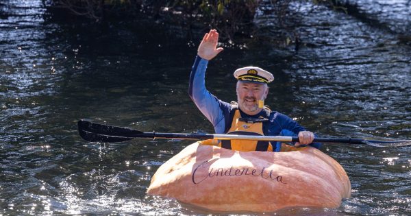 Good gourd! Pumpkin paddler tackles the Tumut River in supersized squash