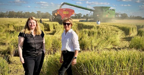 NSW takes another step towards appointing an independent Agriculture Commissioner