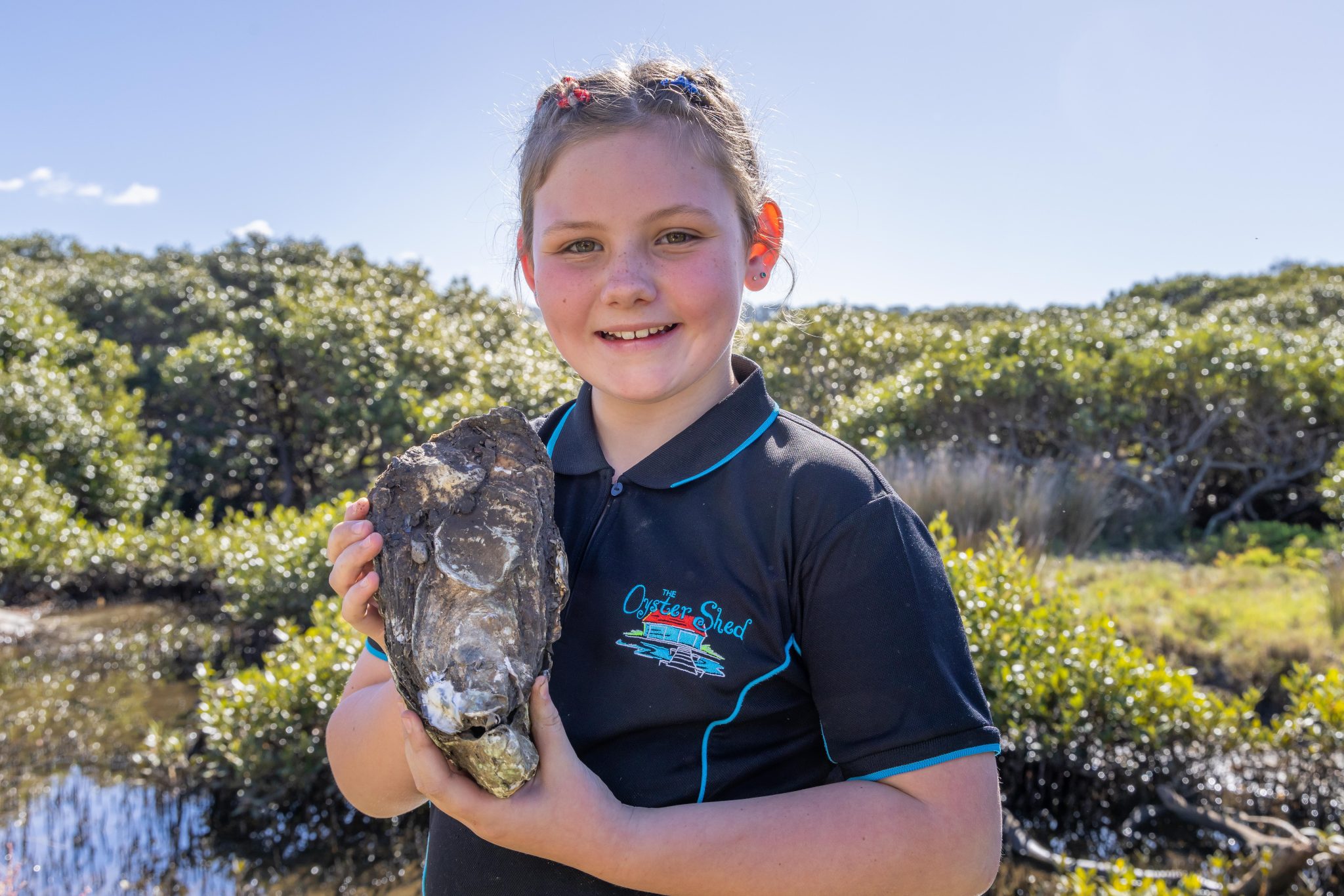 Be shell-shucked by Australia’s biggest oysters in Narooma | About Regional