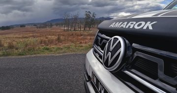 VW testing world-first kangaroo deterrent, but ANU expert has doubts it'll work in cities